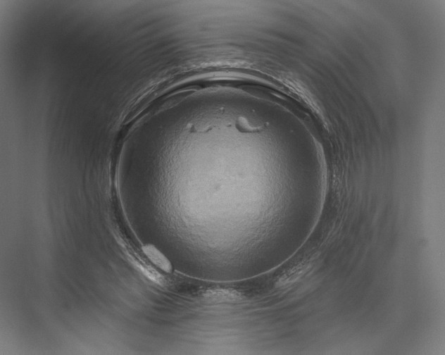 X0000076380397200610061130