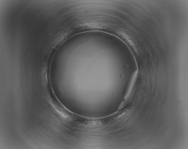 X0000076380398200610061130