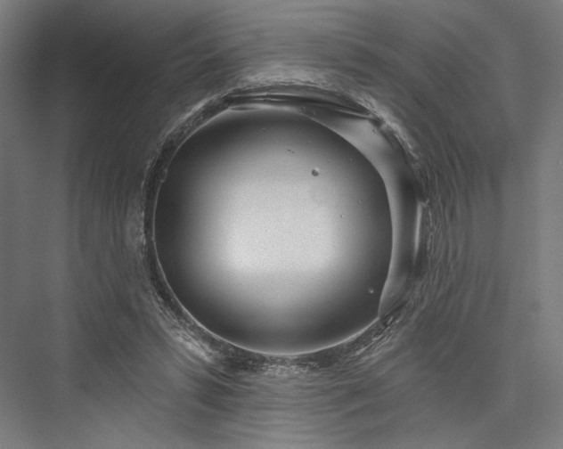 X0000076380399200610061130