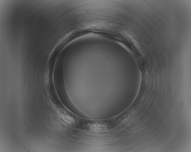 X0000076380400200610061130