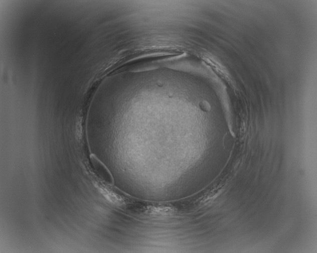 X0000076380401200610061130