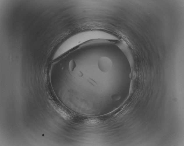 X0000076380402200610061130