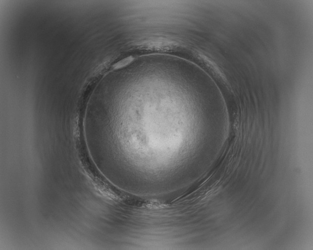 X0000076380403200610061130