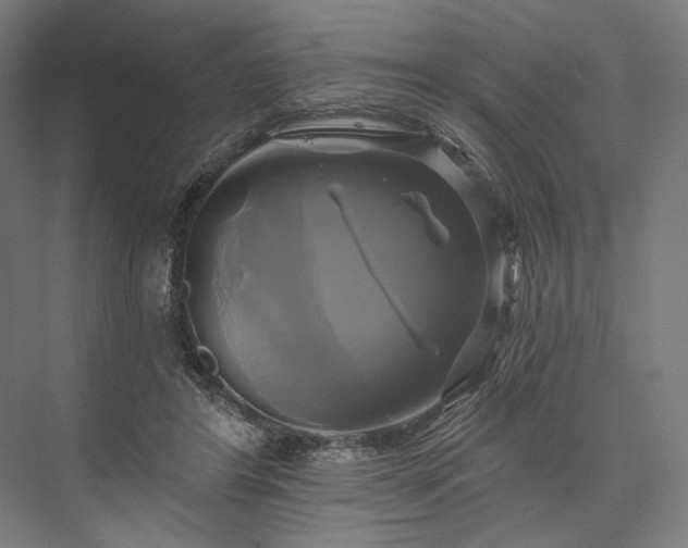 X0000076380404200610061130