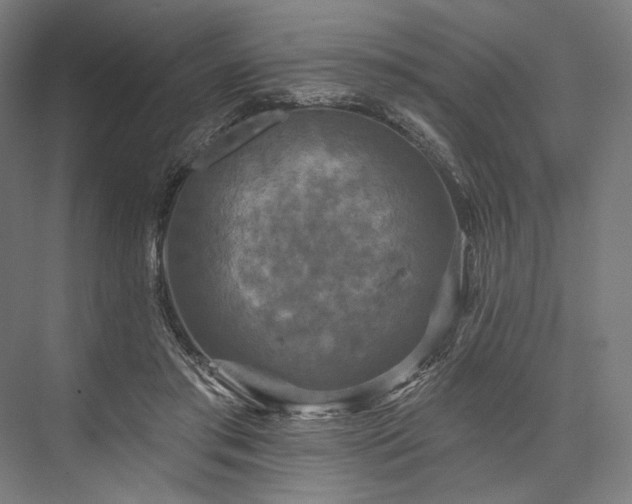 X0000076380405200610061130