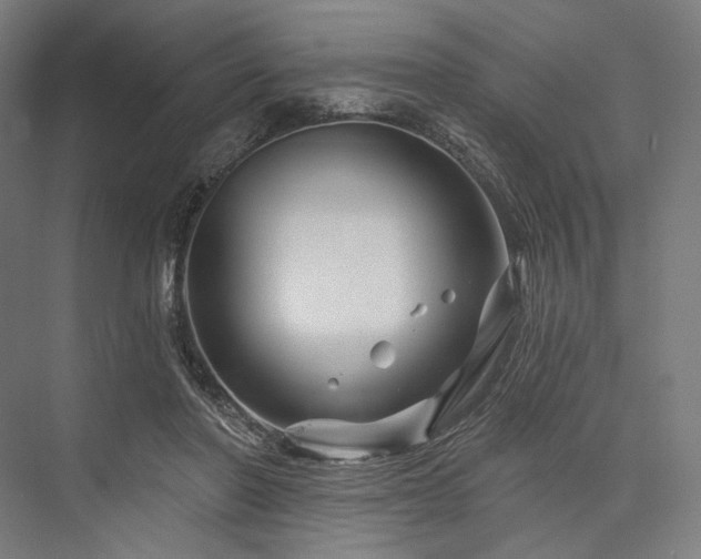 X0000076380406200610061130