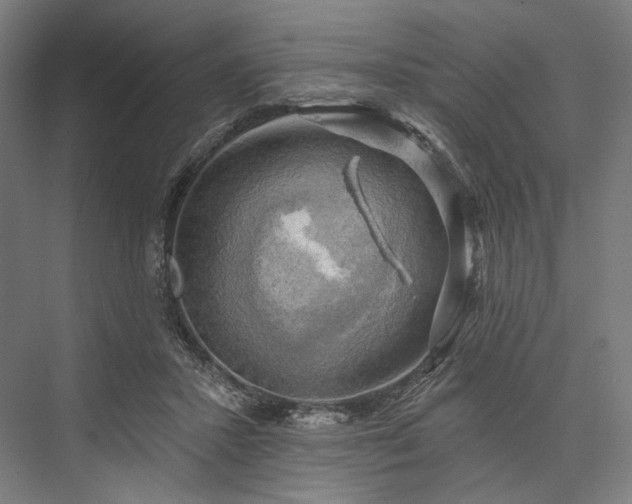 X0000076380407200610061130