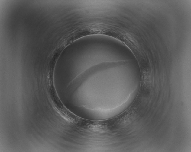 X0000076380408200610061130