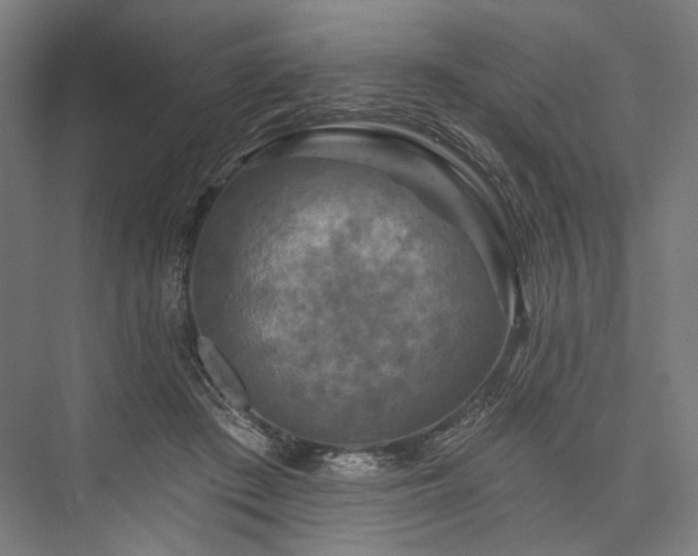 X0000076380409200610061130