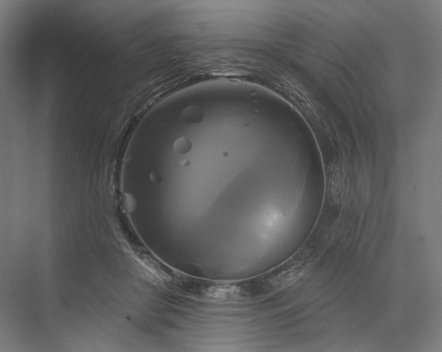 X0000076380410200610061130