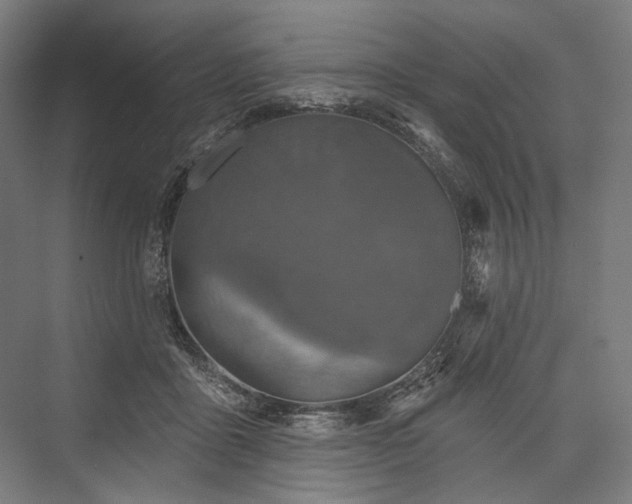 X0000076380411200610061130