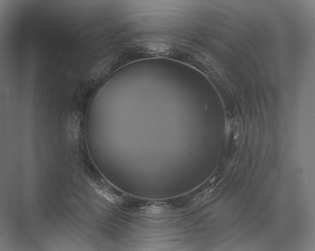 X0000076380412200610061130