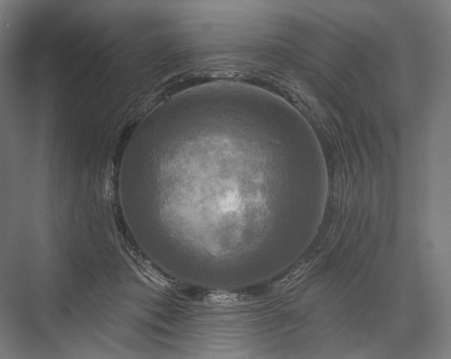 X0000076380413200610061130