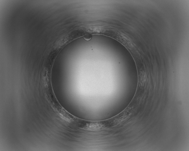 X0000076380414200610061130