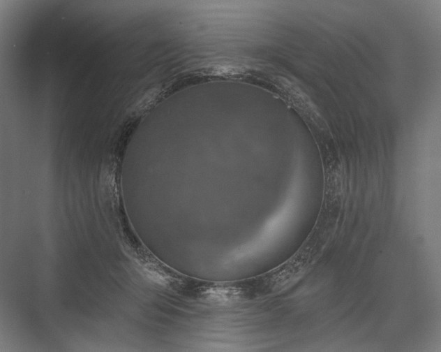 X0000076380415200610061130