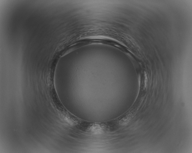 X0000076380416200610061130