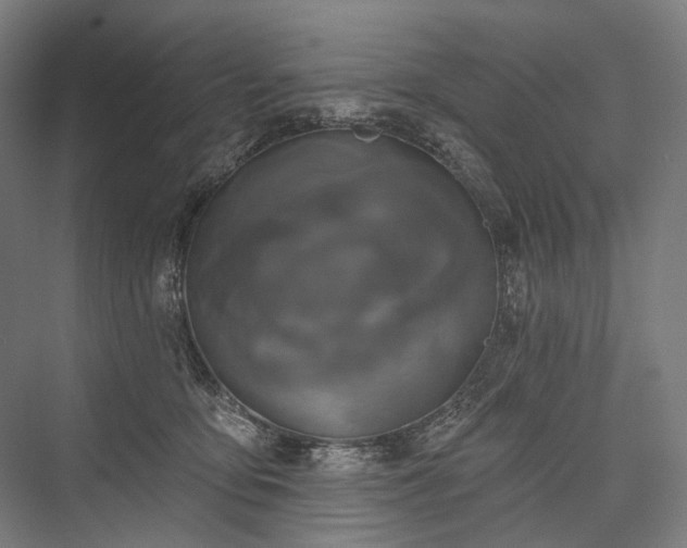 X0000076380419200610061129