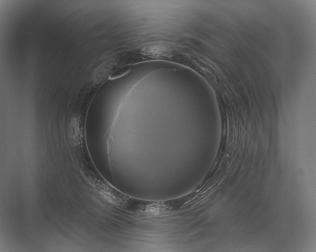 X0000076380420200610061129