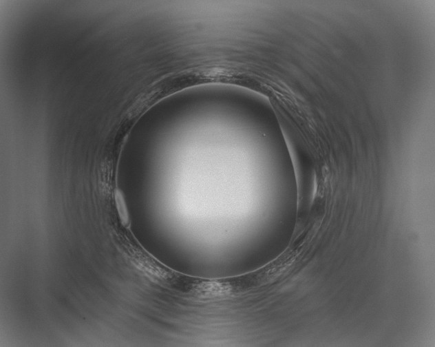 X0000076380421200610061129