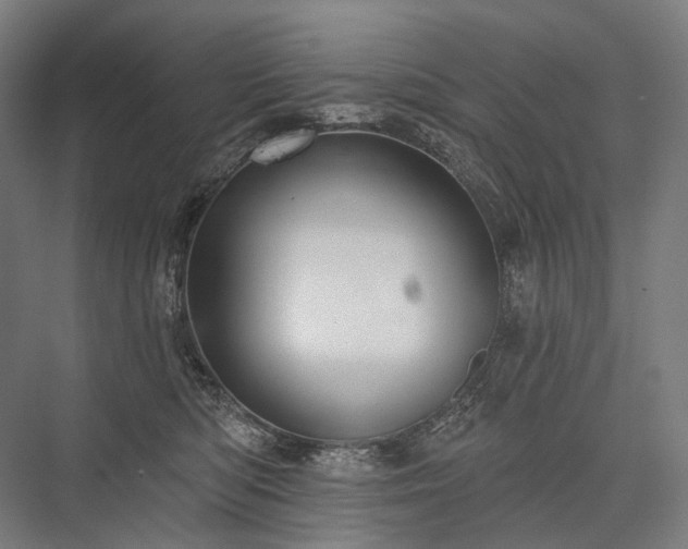 X0000076380422200610061129