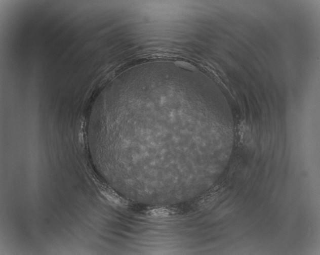 X0000076380423200610061129