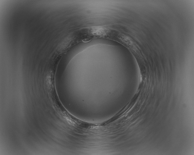 X0000076380424200610061129