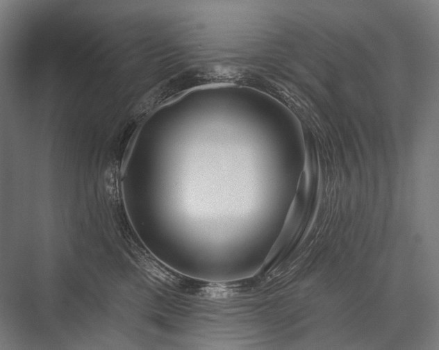 X0000076380425200610061129