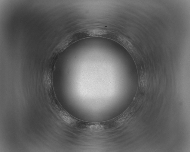 X0000076380426200610061129