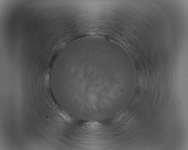 X0000076380427200610061129