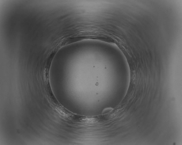 X0000076380428200610061129