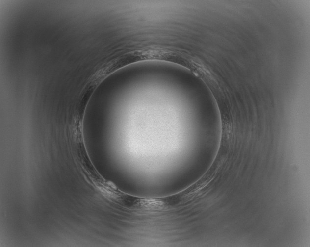 X0000076380429200610061129