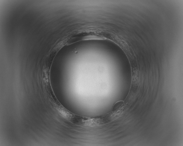 X0000076380430200610061129