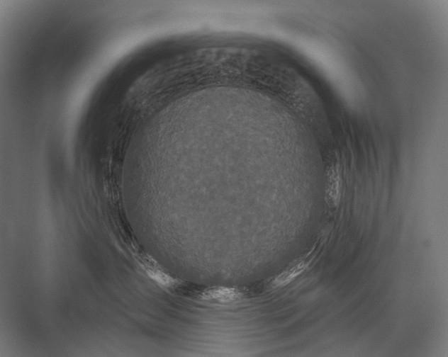 X0000076380431200610061129