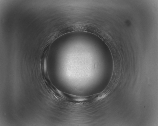 X0000076380432200610061129