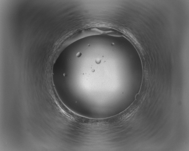 X0000076380433200610061128