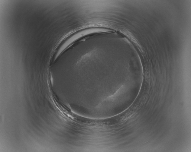 X0000076380434200610061128