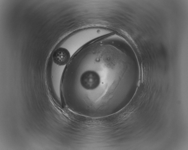 X0000076380435200610061128