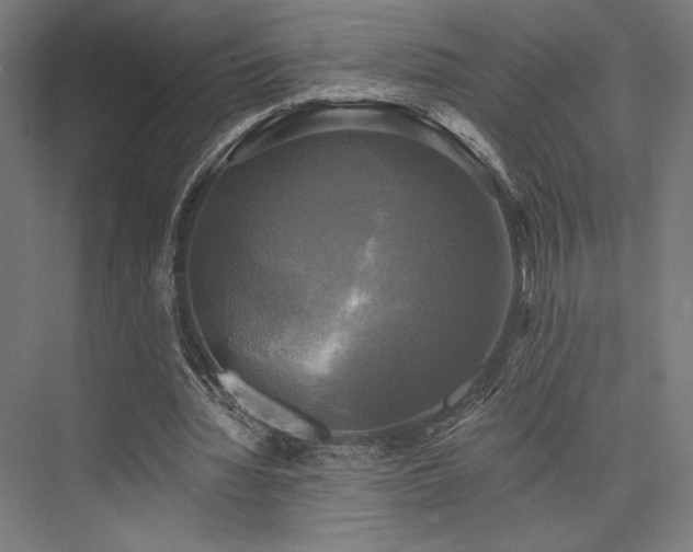 X0000076380436200610061128