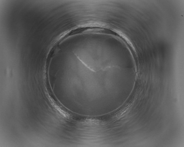 X0000076380437200610061129