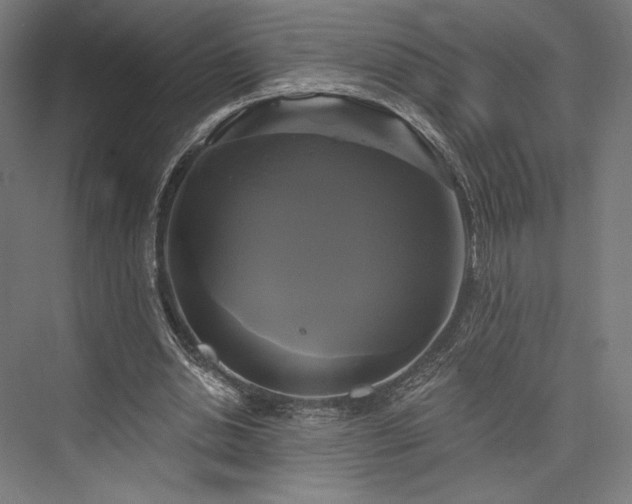 X0000076380438200610061129