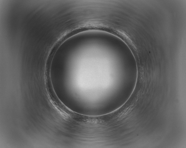 X0000076380439200610061129