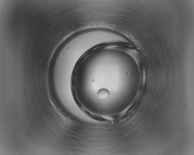 X0000076380440200610061129