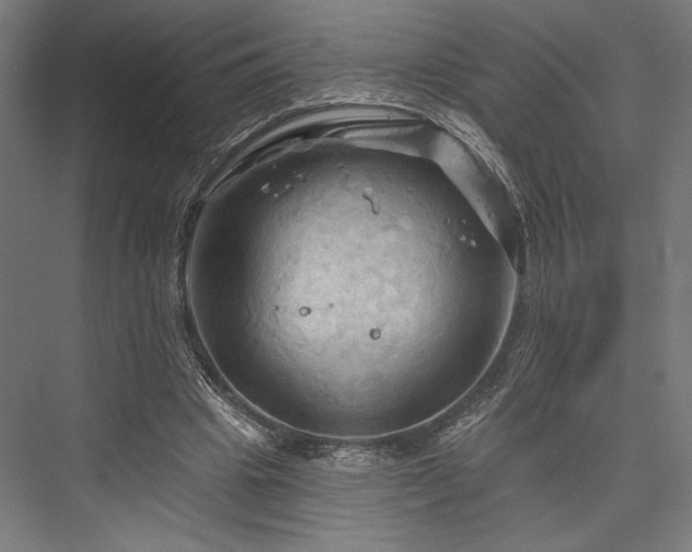 X0000076380441200610061129