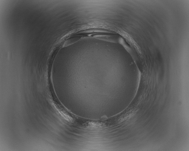 X0000076380442200610061129