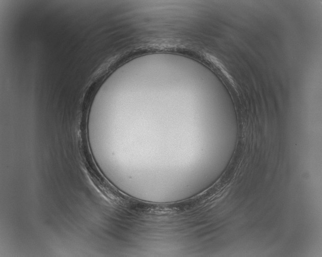 X0000076380443200610061129