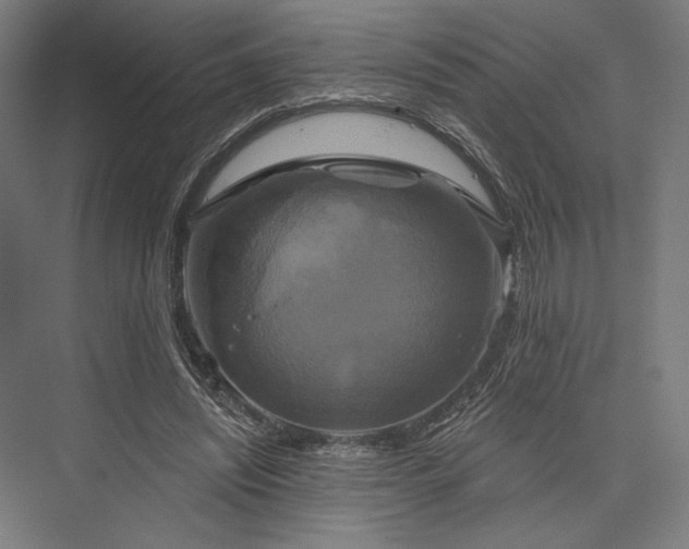 X0000076380444200610061129