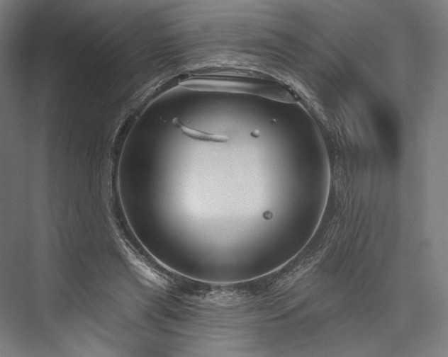 X0000076380445200610061129