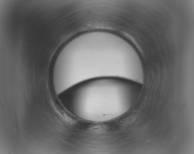 X0000076380447200610061129