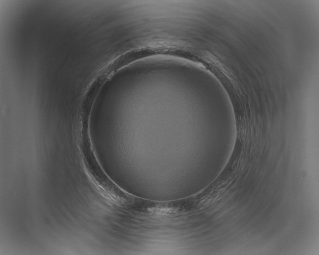 X0000076380448200610061129