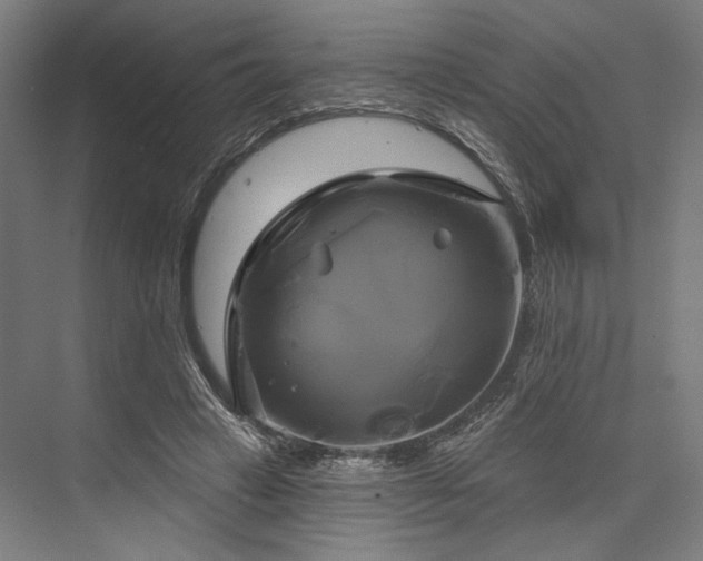 X0000076380449200610061129